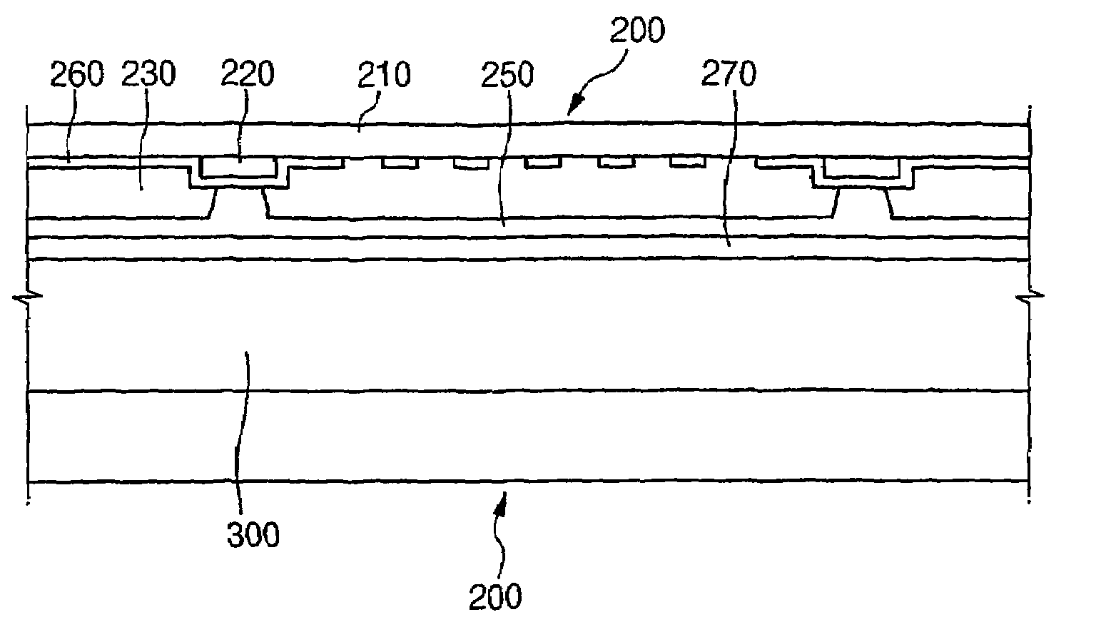 Panel and a liquid crystal display including the panel