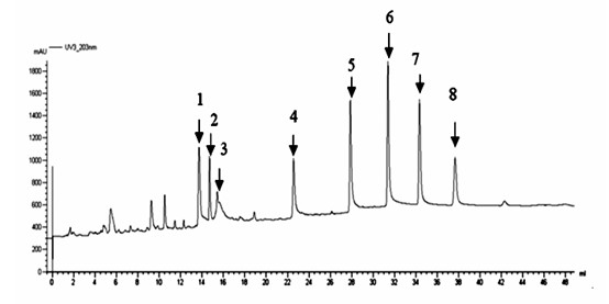 Method for extracting total saponins from allium chinense