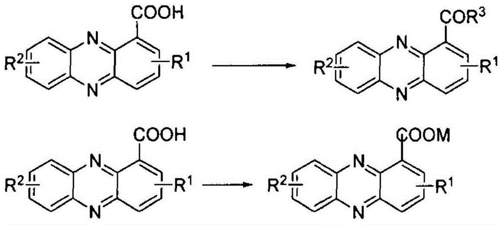 Preparation method for phenazine-1-carboxylic acid
