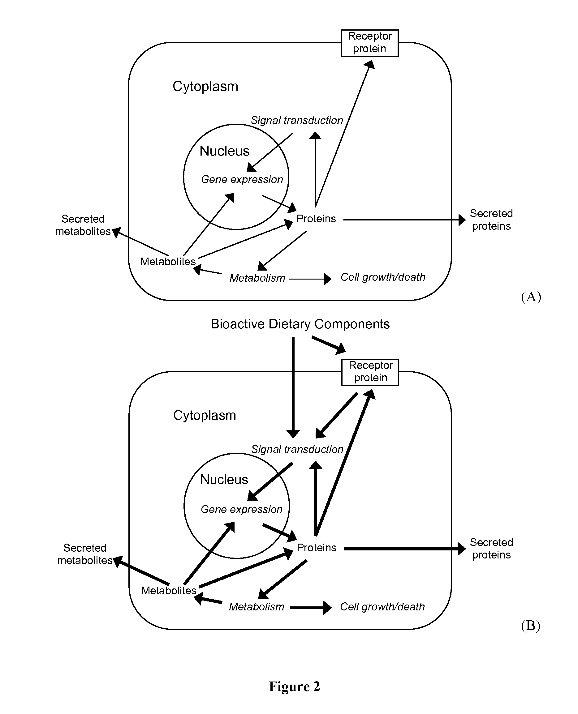 Methods and Systems for Designing Animal Food Compositions