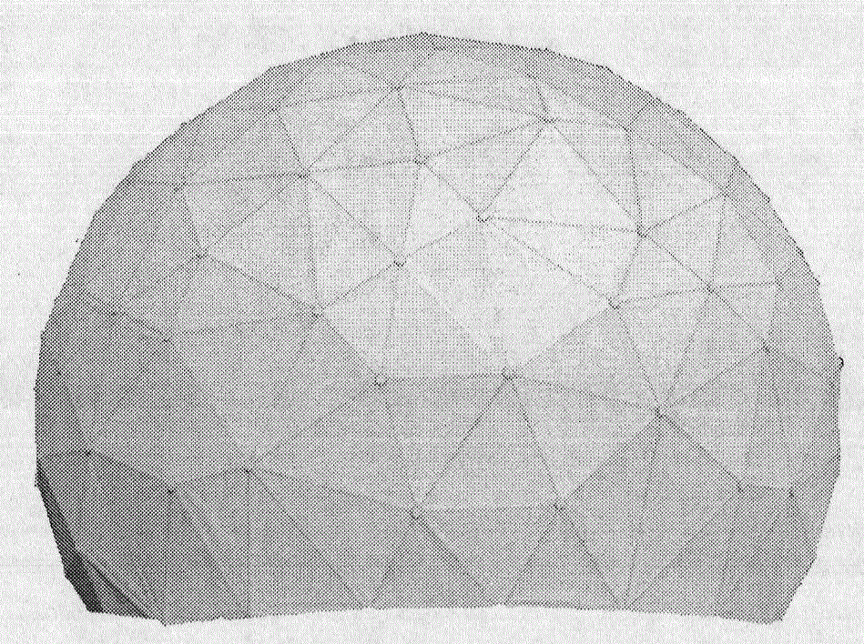 Construction method and installation technology of reticulated shell structure of wide-span pseudo-random metal radome