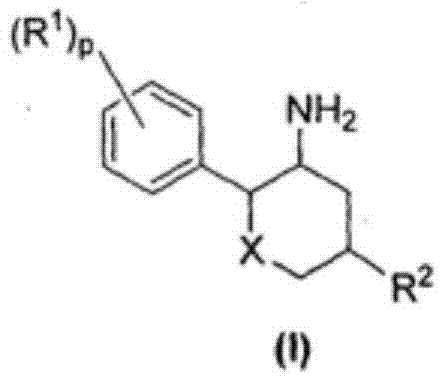 2-phenyl-5-heterocyclyl-tetrahydro-2h-pyran-3-amine compounds for use in the treatment of diabetes and its associated disorders