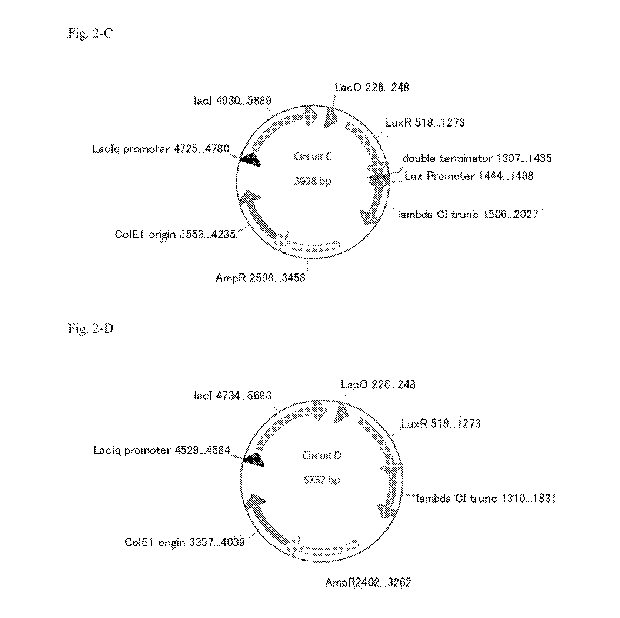 Method For Rapidly Developing Gene Switches And Gene Circuits