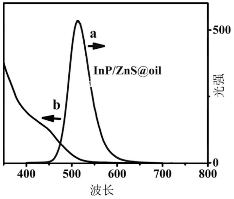 A kind of preparation method of electrochemiluminescence immunosensor without co-reaction dosage form