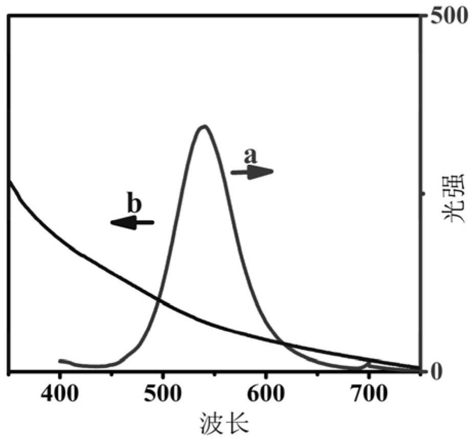 A kind of preparation method of electrochemiluminescence immunosensor without co-reaction dosage form