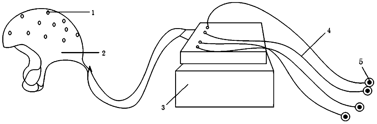 Multi-time-frequency scale brain electromyography coupling analysis method based on wavelet-transfer entropy