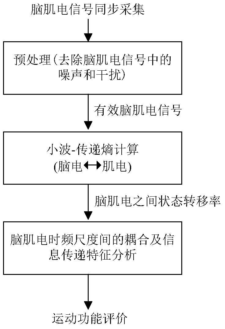 Multi-time-frequency scale brain electromyography coupling analysis method based on wavelet-transfer entropy