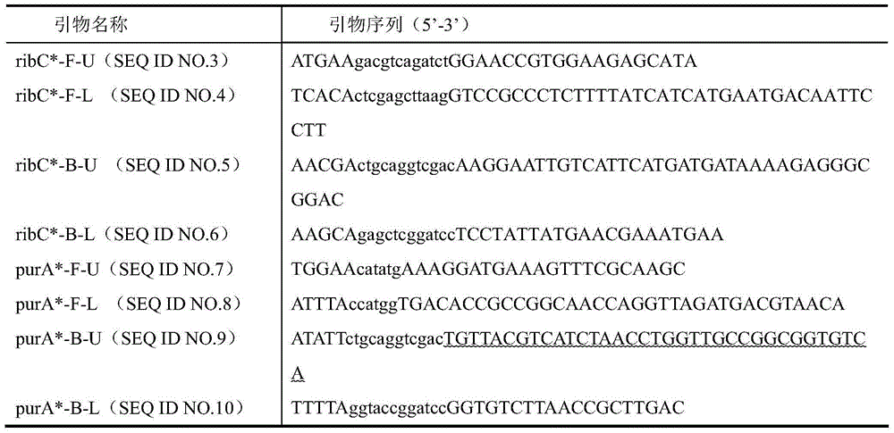 Bacillus subtilis adenylosuccinate synthetase mutant gene purA and applications thereof
