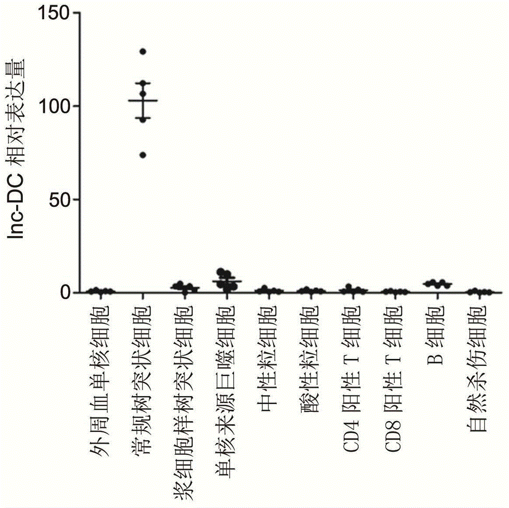 Long non-coding RNA, sequence and application thereof