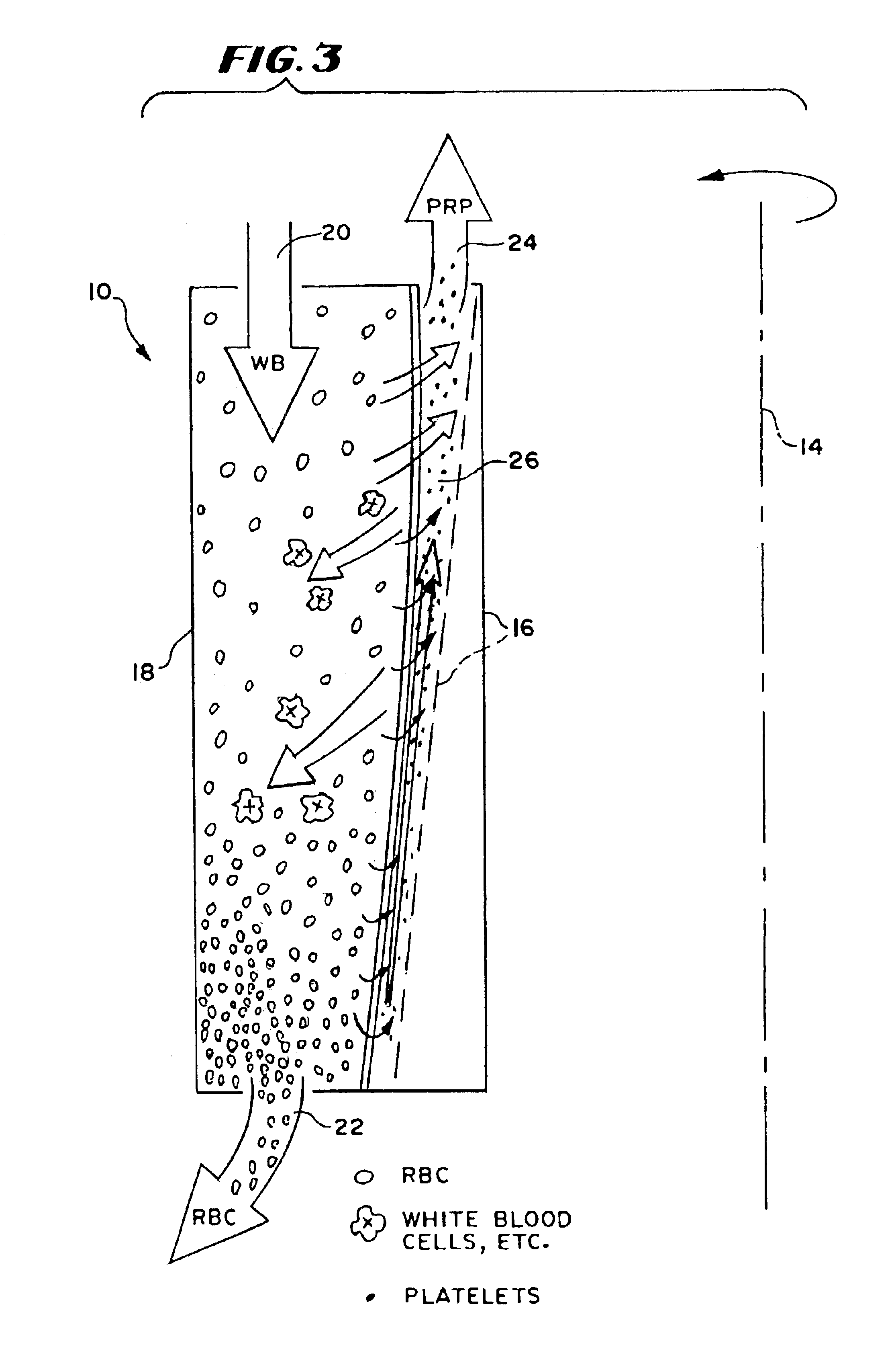 Blood processing systems and methods