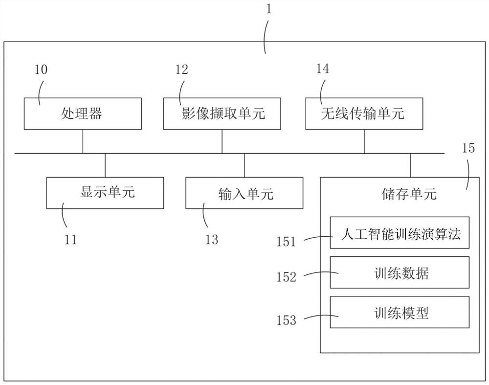 Facial muscle feature point automatic marking method