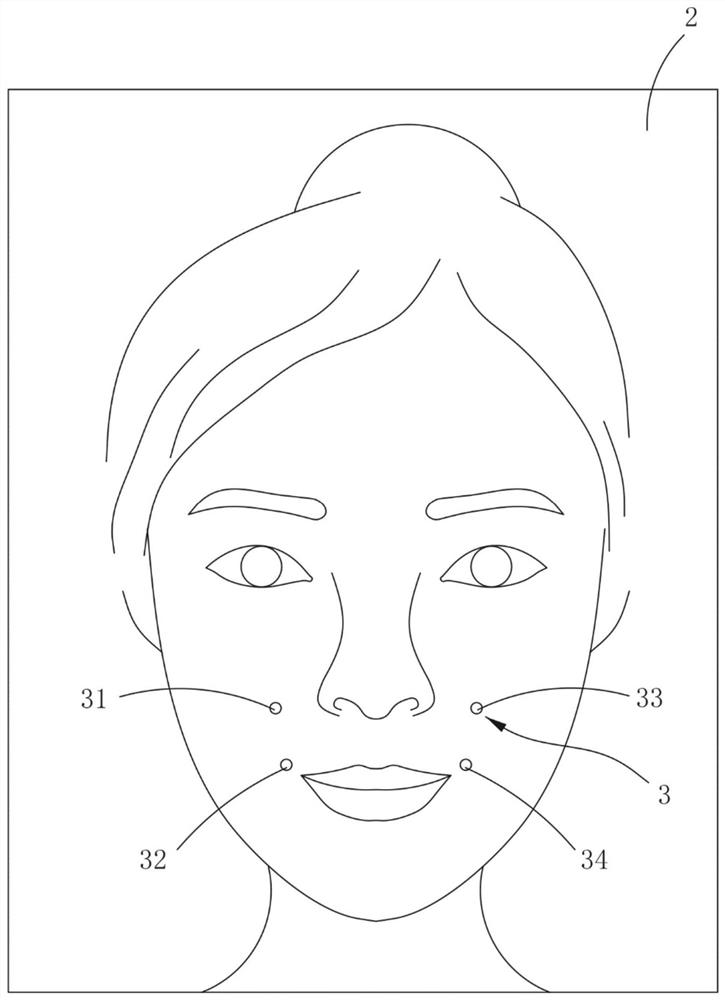 Facial muscle feature point automatic marking method