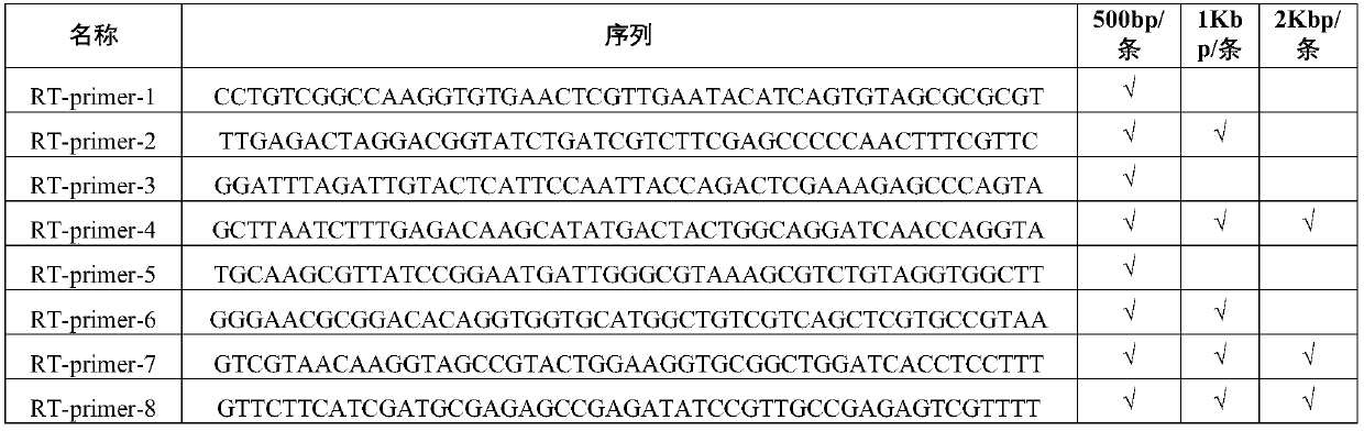 Ribosome-RNA-removed reverse transcription primer pool, kit and method for removing ribosome RNA