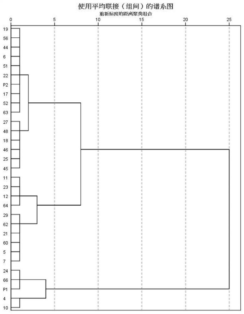 A product for classification of cadmium-resistant vegetable varieties