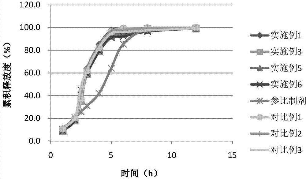 Trospium chloride double-release capsules and preparation method thereof