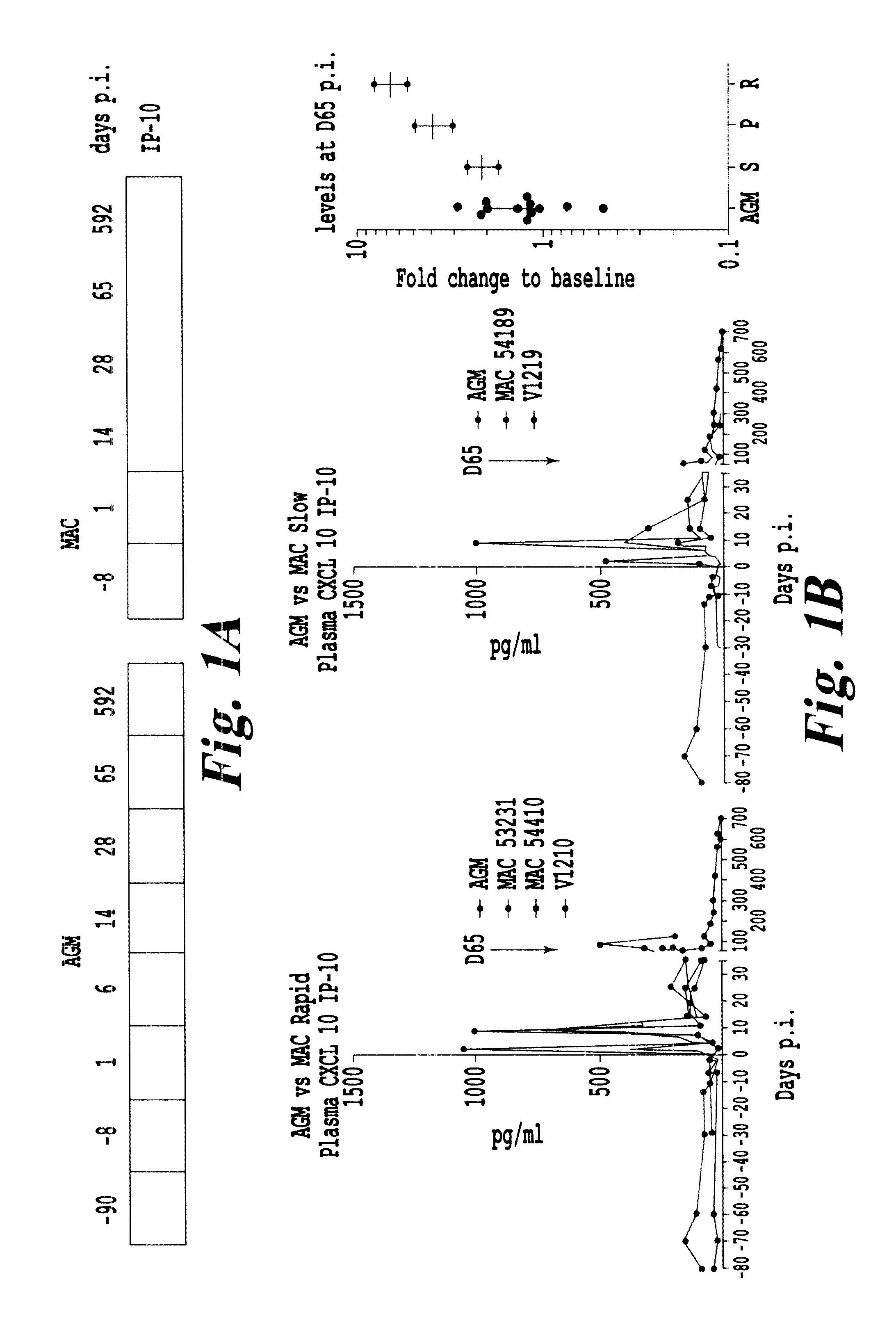 Levels of CXCL 10/IP-10 forms and soluble CD26/DPPIV activity as early predictive biomarkers for HIV/SIV associated mucosal inflammation and progression towards AIDS