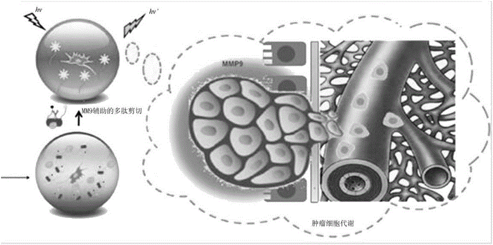 Method for single cell level detection of MMP enzyme activity