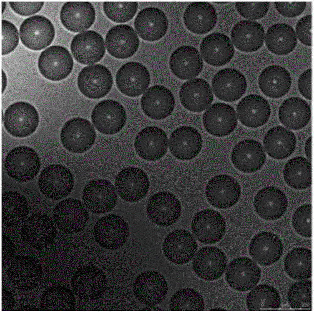 Method for single cell level detection of MMP enzyme activity