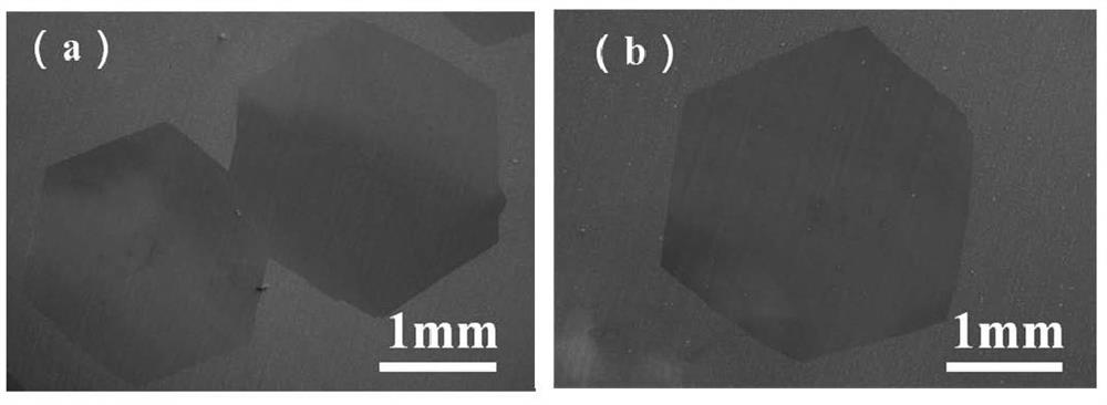 A method for preparing high-quality wafer-scale graphene single crystals