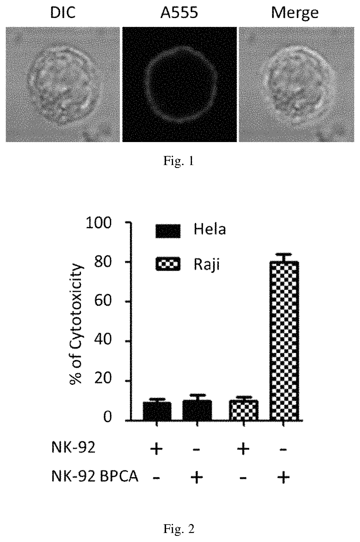 Carbohydrate derivatives used for surface modification of immune cells, use thereof and method thereof