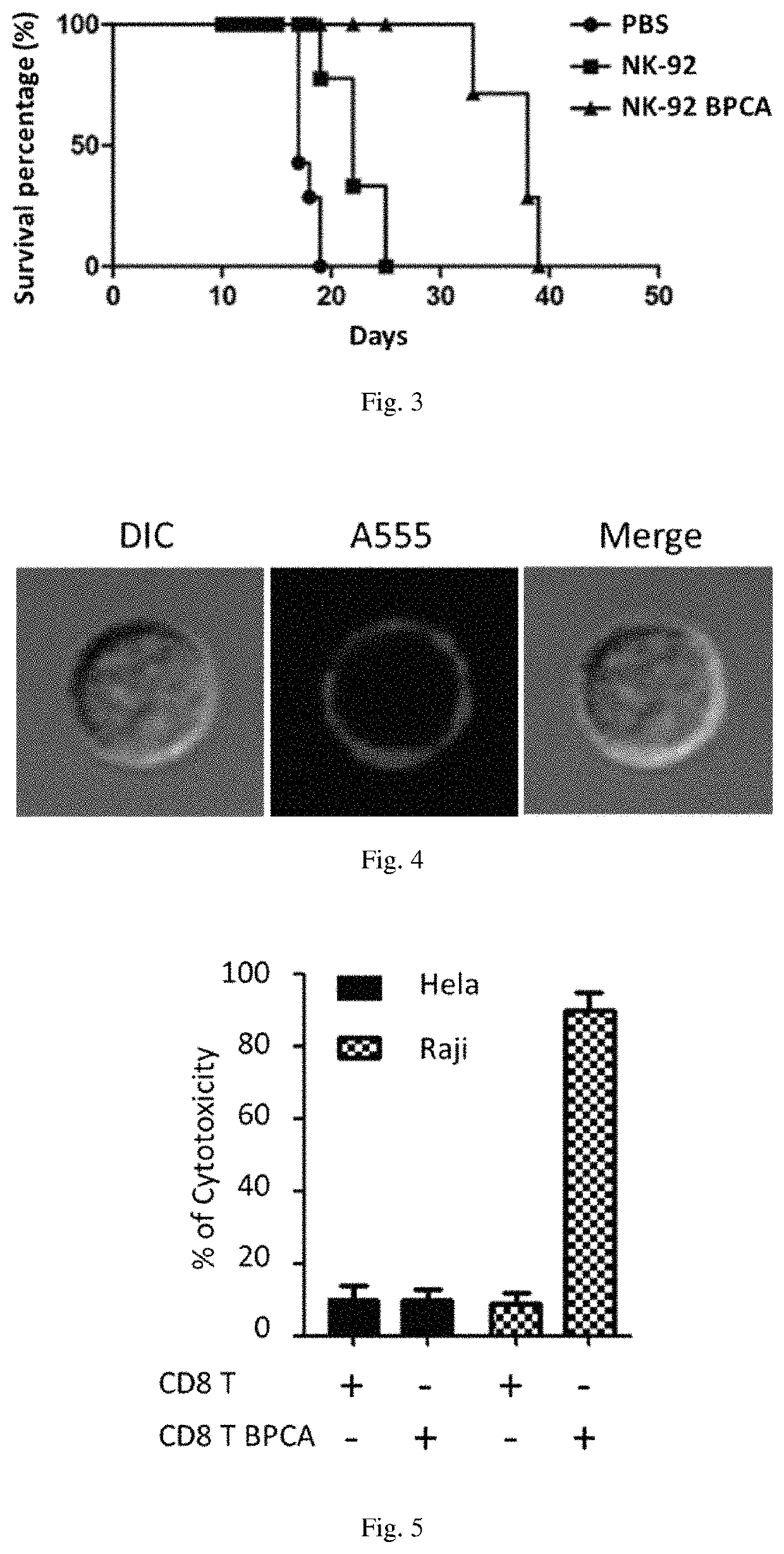 Carbohydrate derivatives used for surface modification of immune cells, use thereof and method thereof