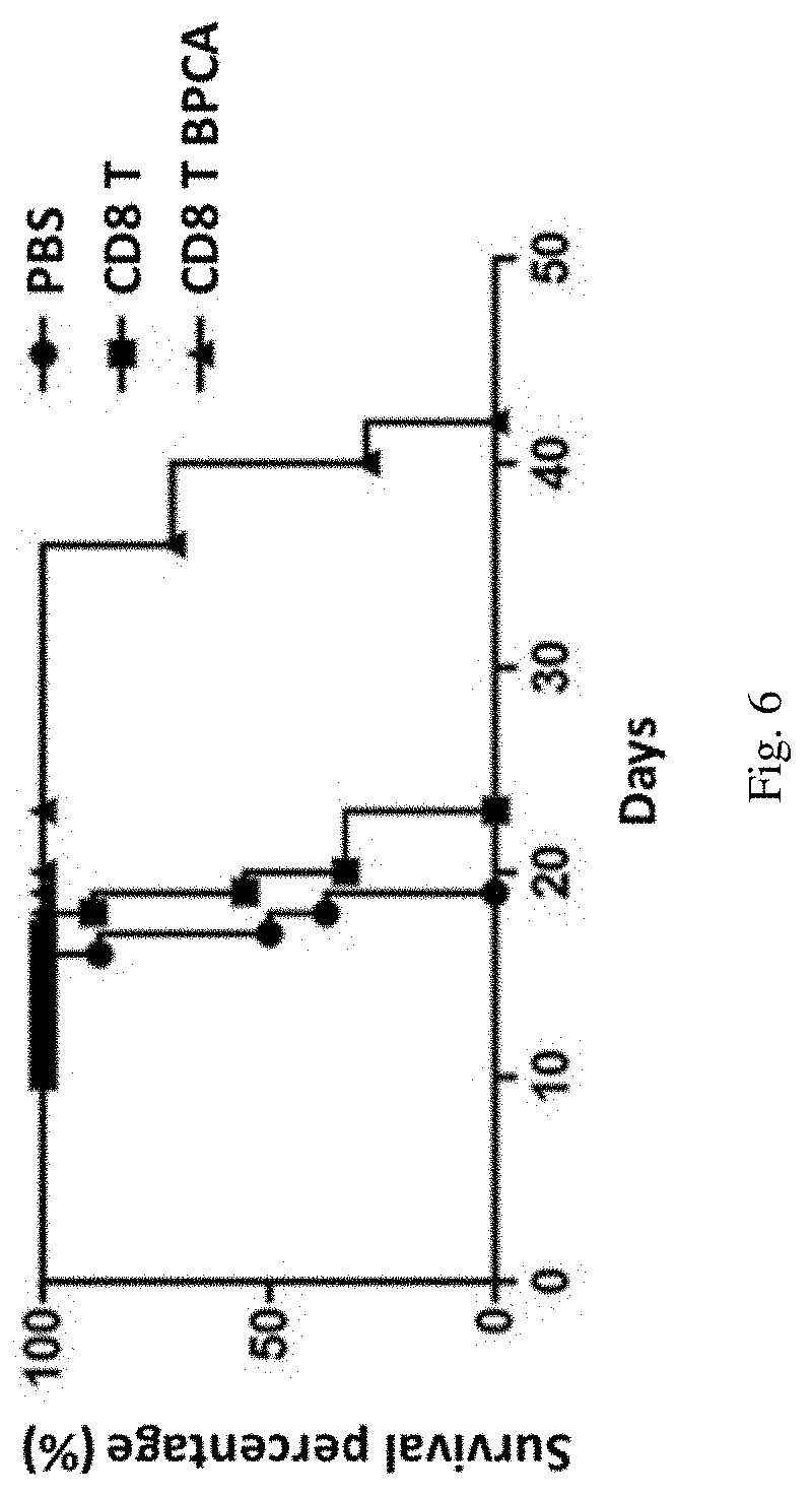 Carbohydrate derivatives used for surface modification of immune cells, use thereof and method thereof