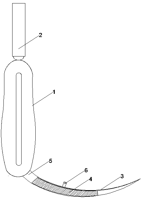 Electronic laryngoscope convenient for observation