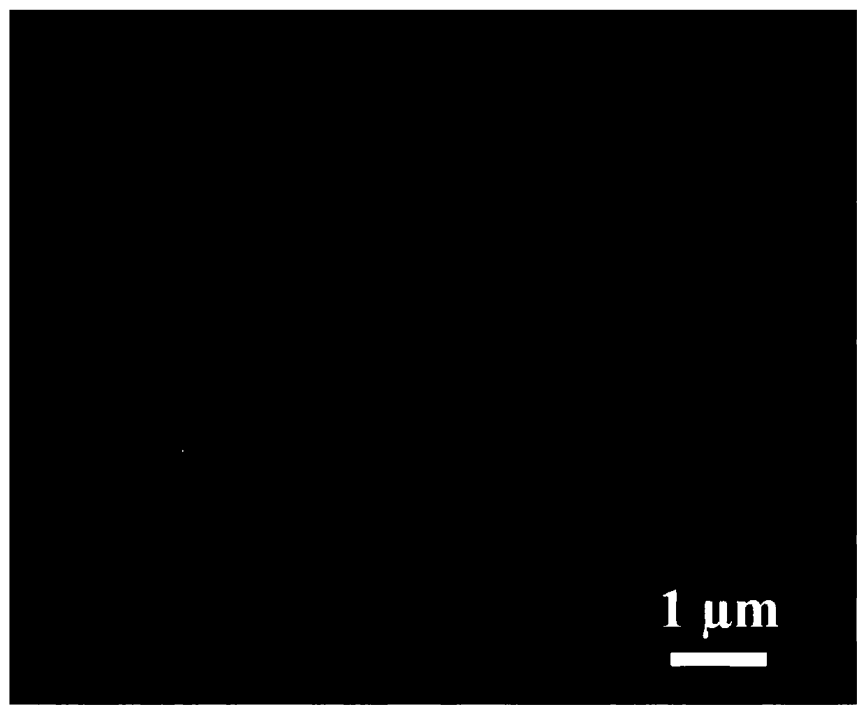 Pine needle-shaped nickel-cobalt-copper basic carbonate nano composite material as well as preparation method and application thereof