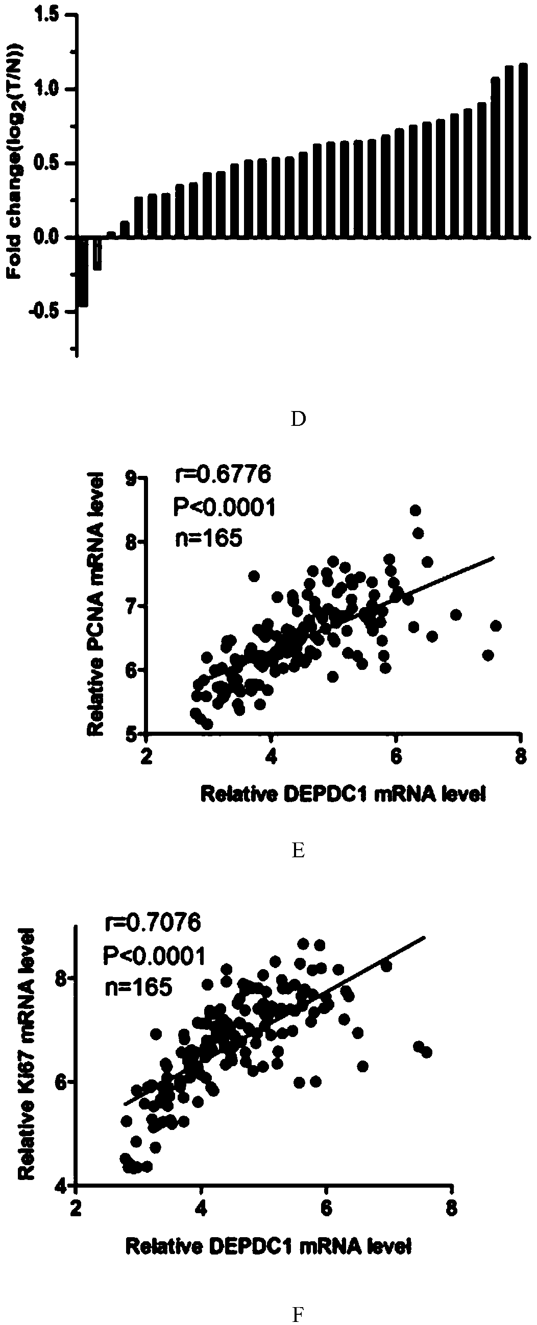 Application of protein DEPDC1 (Dishevelled and EGL-10, Pleckstrin Domain-Containing protein 1) as marker for diagnosing triple negative breast cancer