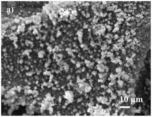 Zn-doped ni-mof self-supporting composite electrode and its preparation method and application