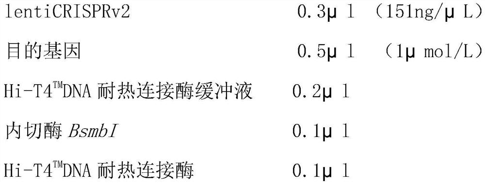 Construction method of high-throughput CRISPR gene editing tool vector