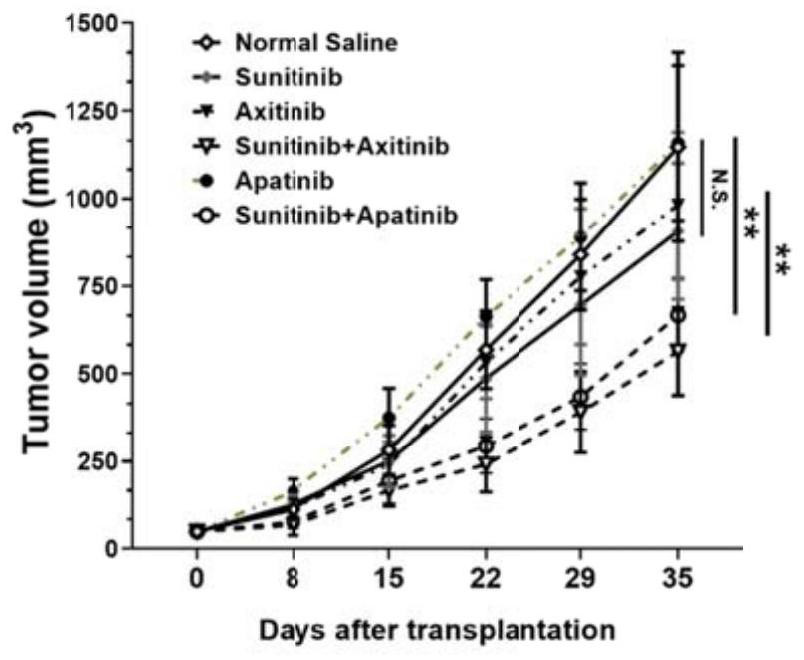 A kind of pharmaceutical composition comprising sunitinib and its preparation and application