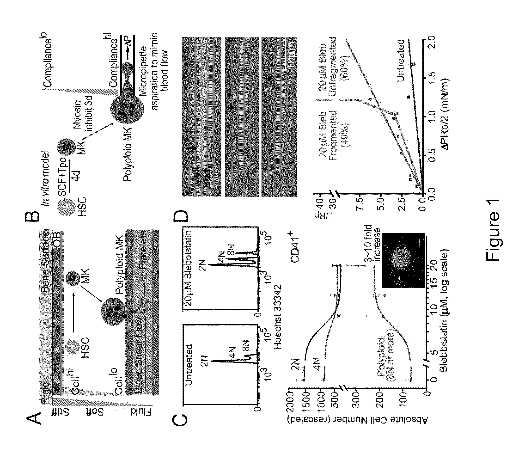 Bioreactor for Isolation of Rare Cells and Methods of Use