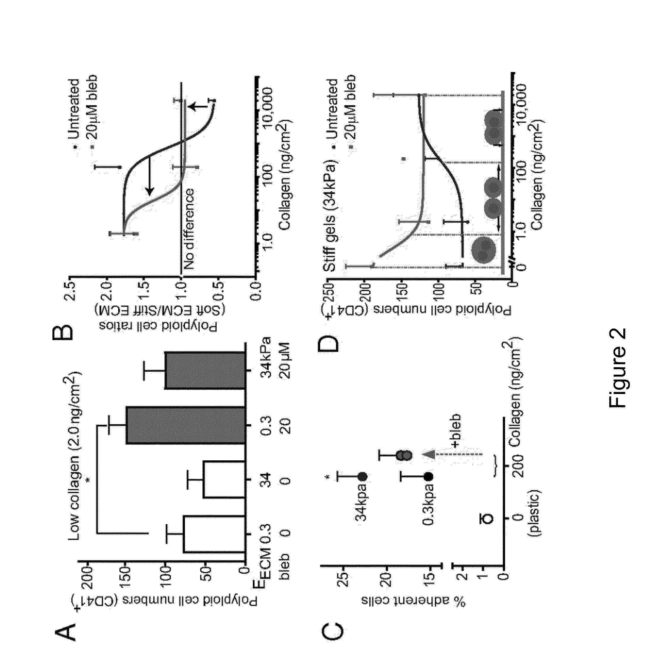 Bioreactor for Isolation of Rare Cells and Methods of Use