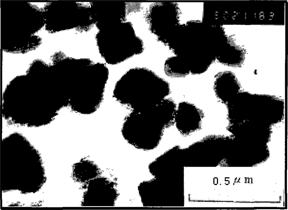 Preparation of calcium carbonate complex particle