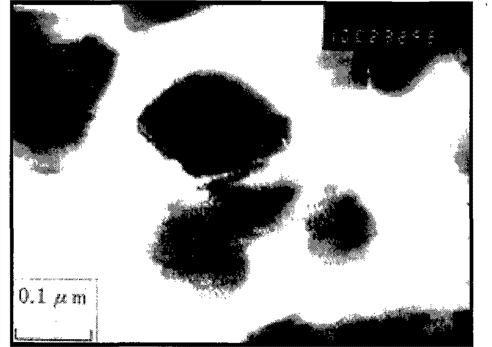 Preparation of calcium carbonate complex particle