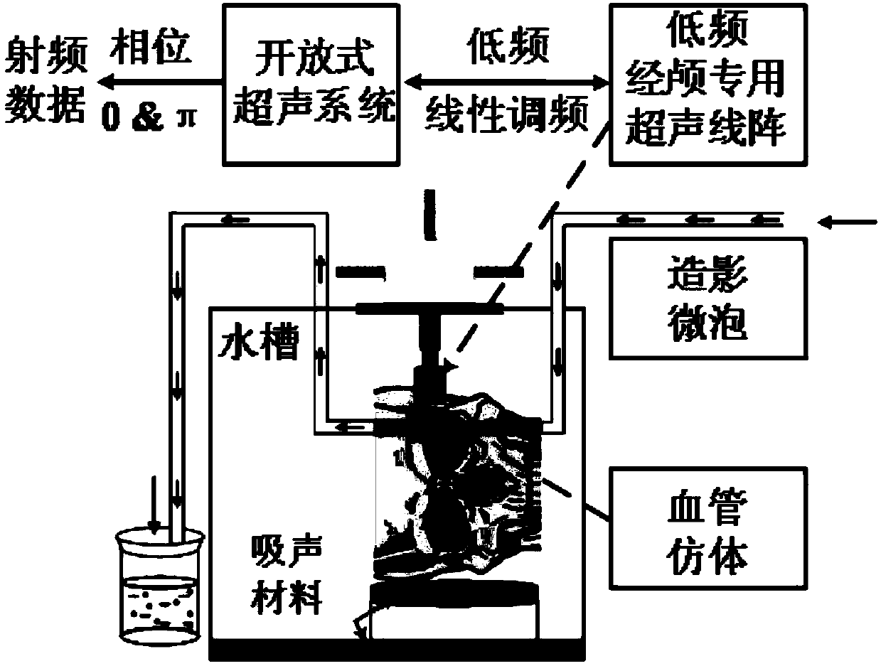 Transcranial low-frequency ultrasonic linear frequency-modulation pulse inversion micro-bubble imaging method