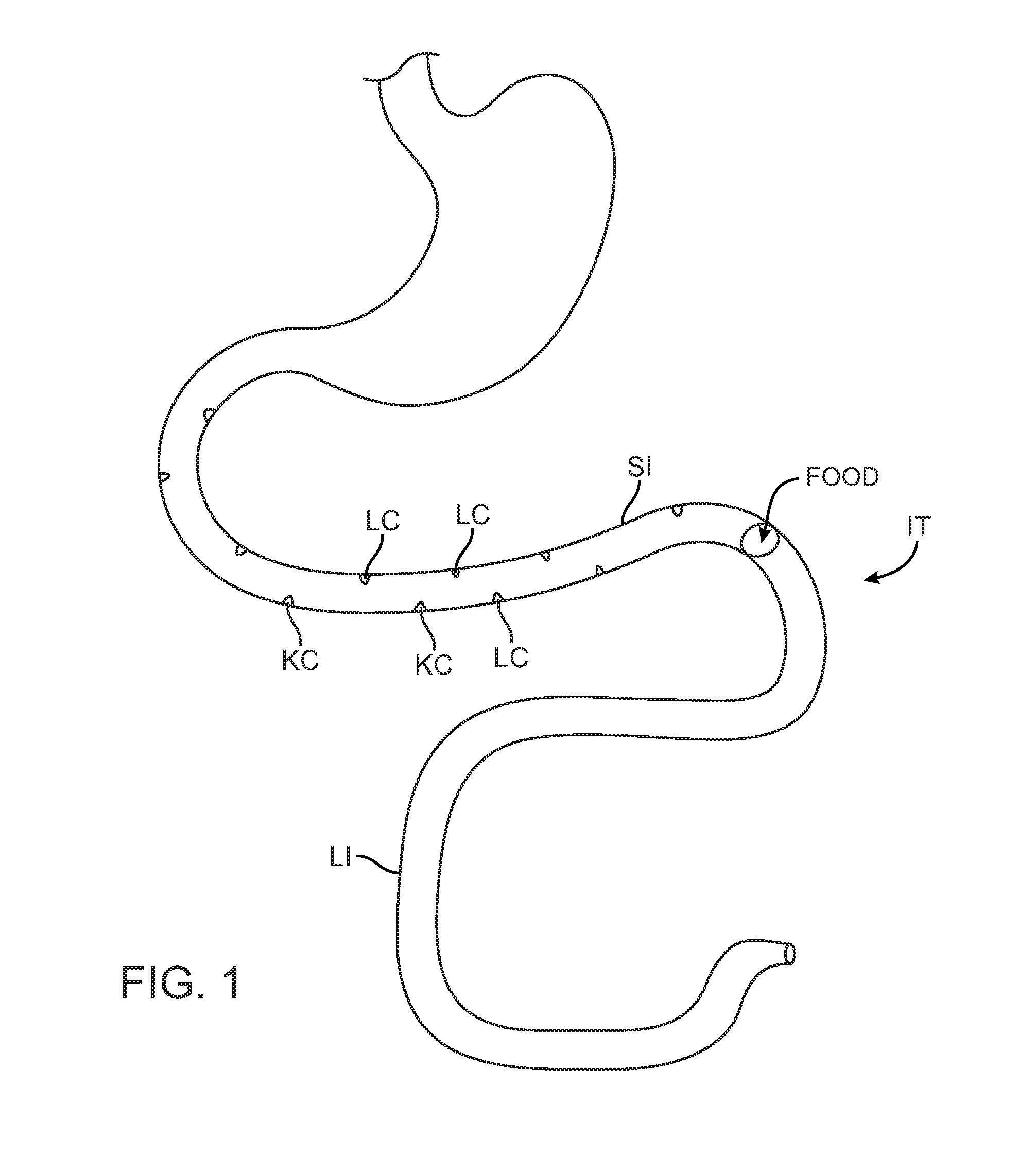 Swallowable Capsule and Method for Stimulating Incretin Production Within the Intestinal Tract