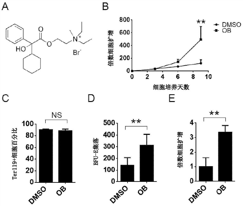 Muscarinic acetylcholine receptor subtype 4 antagonists in the treatment of anemia