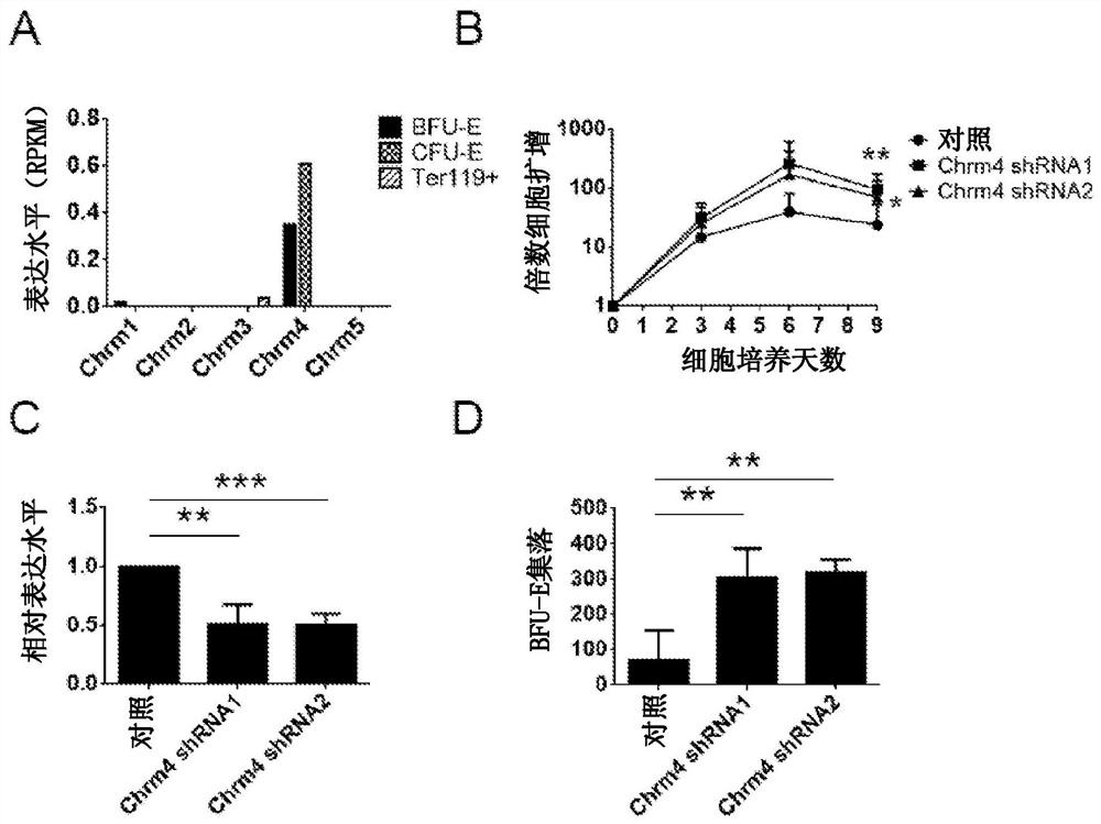 Muscarinic acetylcholine receptor subtype 4 antagonists in the treatment of anemia