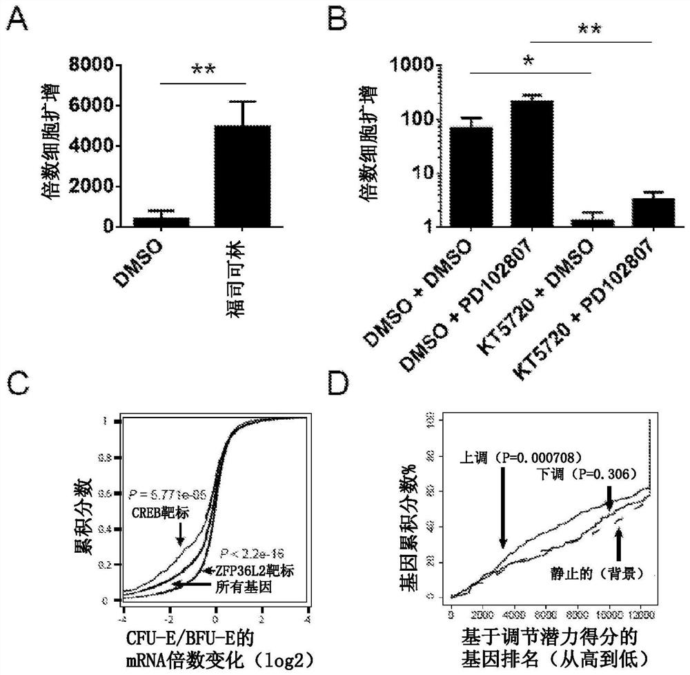 Muscarinic acetylcholine receptor subtype 4 antagonists in the treatment of anemia