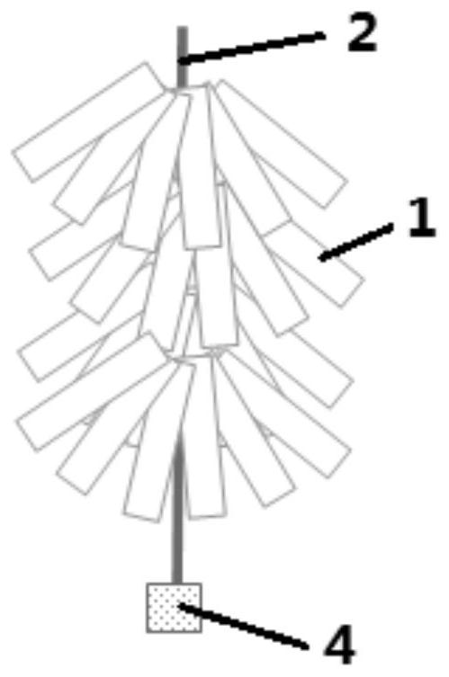 A kind of method for indoor raising seedlings of bearded sea bream