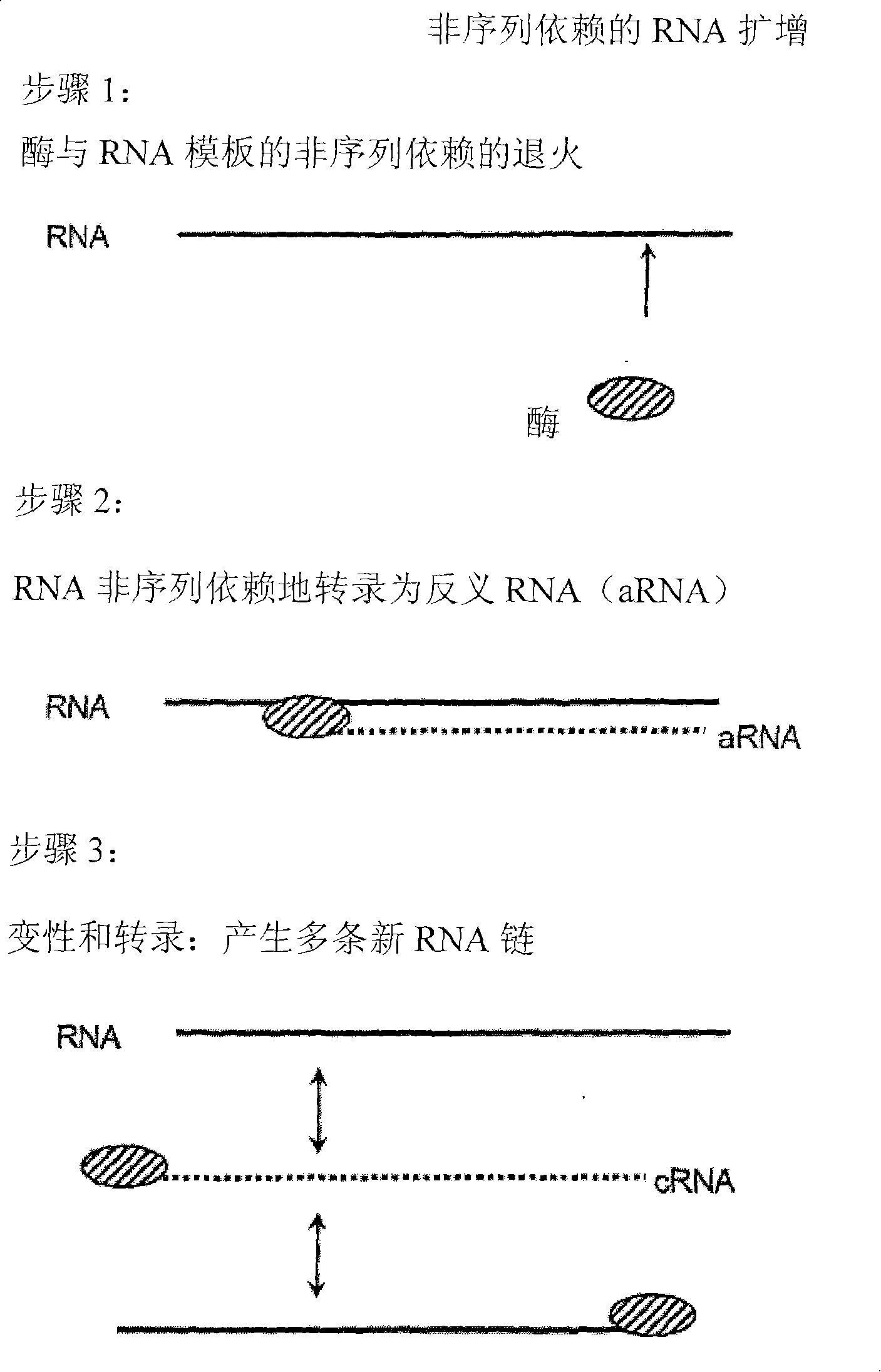 Rna-dependent rna polymerase, methods and kits for the amplification and/or labelling of rna