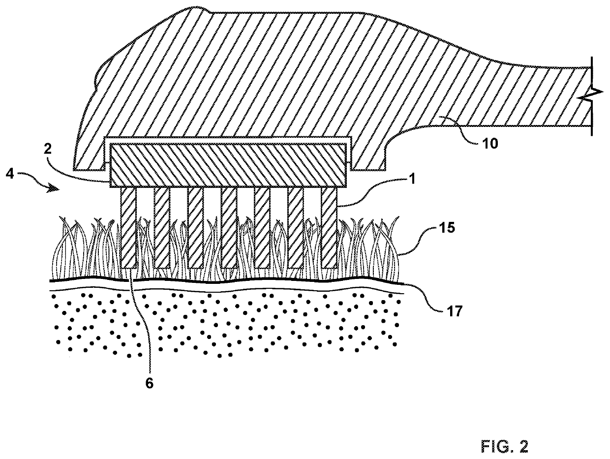 Apparatus Attachable to a Low-Level Laser Therapy Device to Transmit Light or Infrared Light Through the Fur of an Animal Onto the Animal's Skin