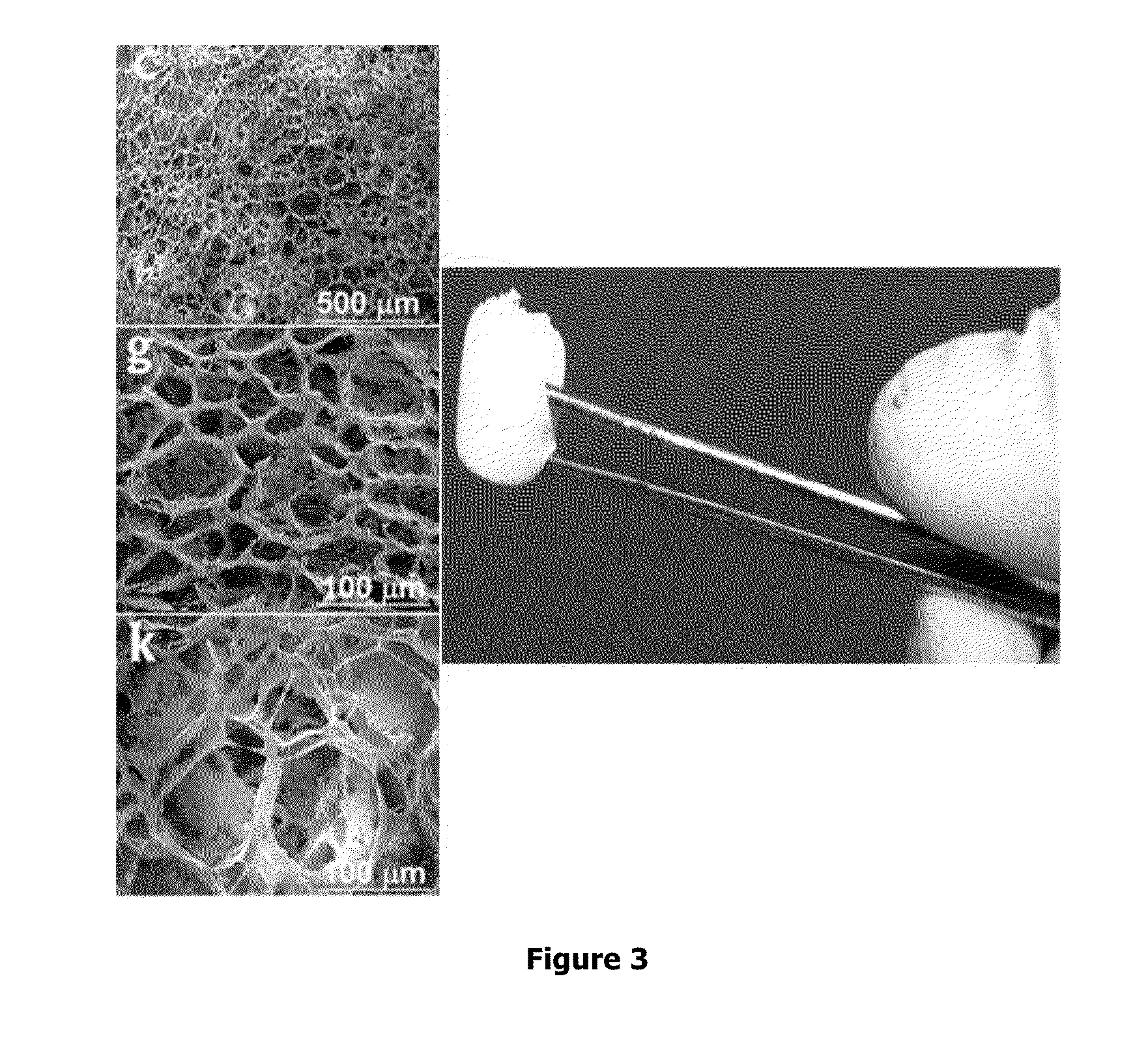 Biodegradable bone fillers, membranes and scaffolds containing composite particles