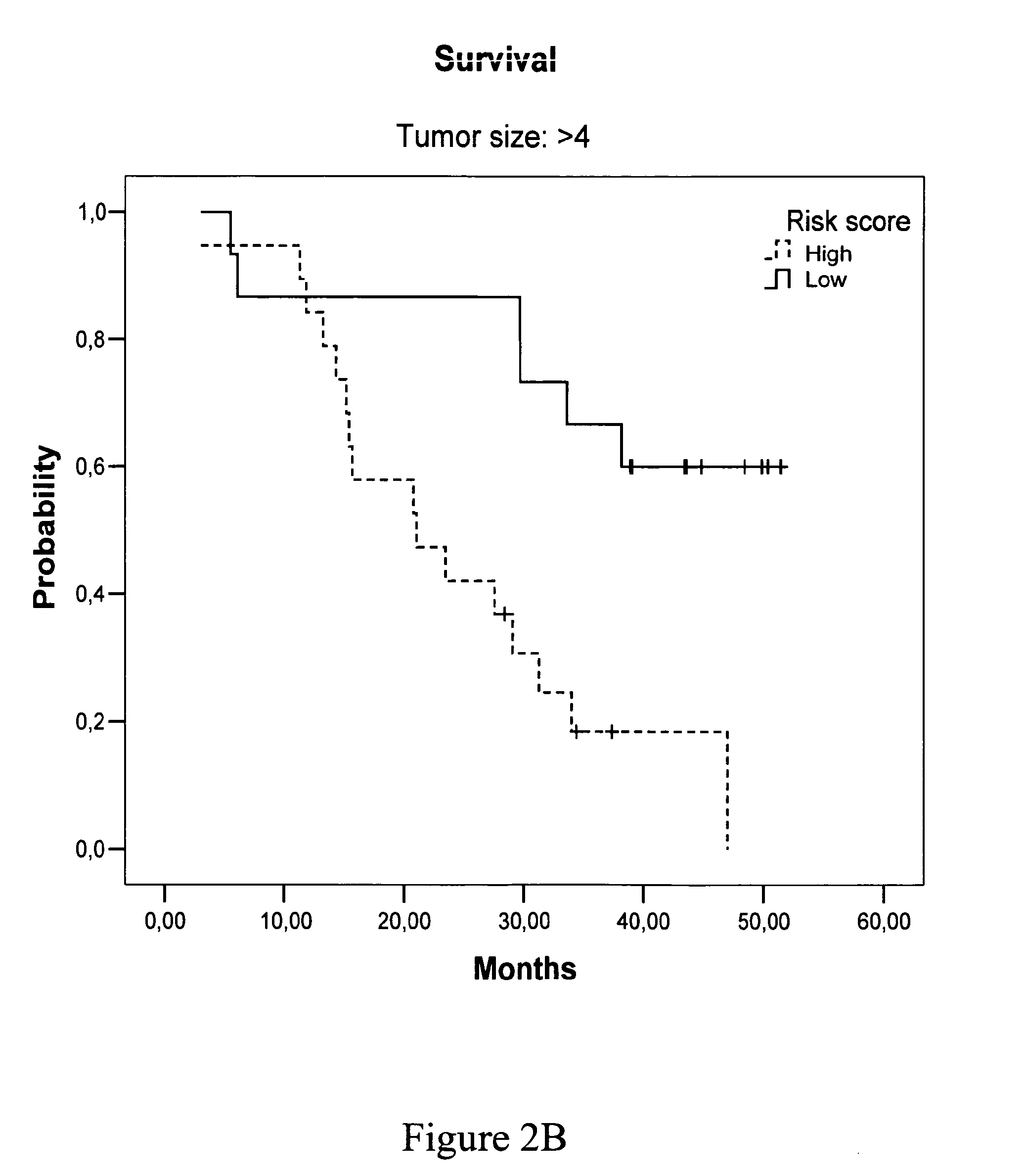 Method of determining a chemotherapeutic regime and survival expectancy for non small cell lung cancer based on egfr/csf-1/ca ix expression