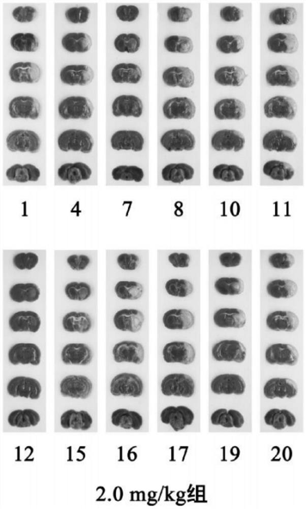 A kind of phenylpropionate compound and its preparation method and application