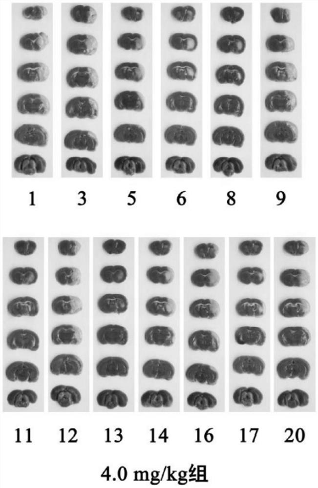 A kind of phenylpropionate compound and its preparation method and application