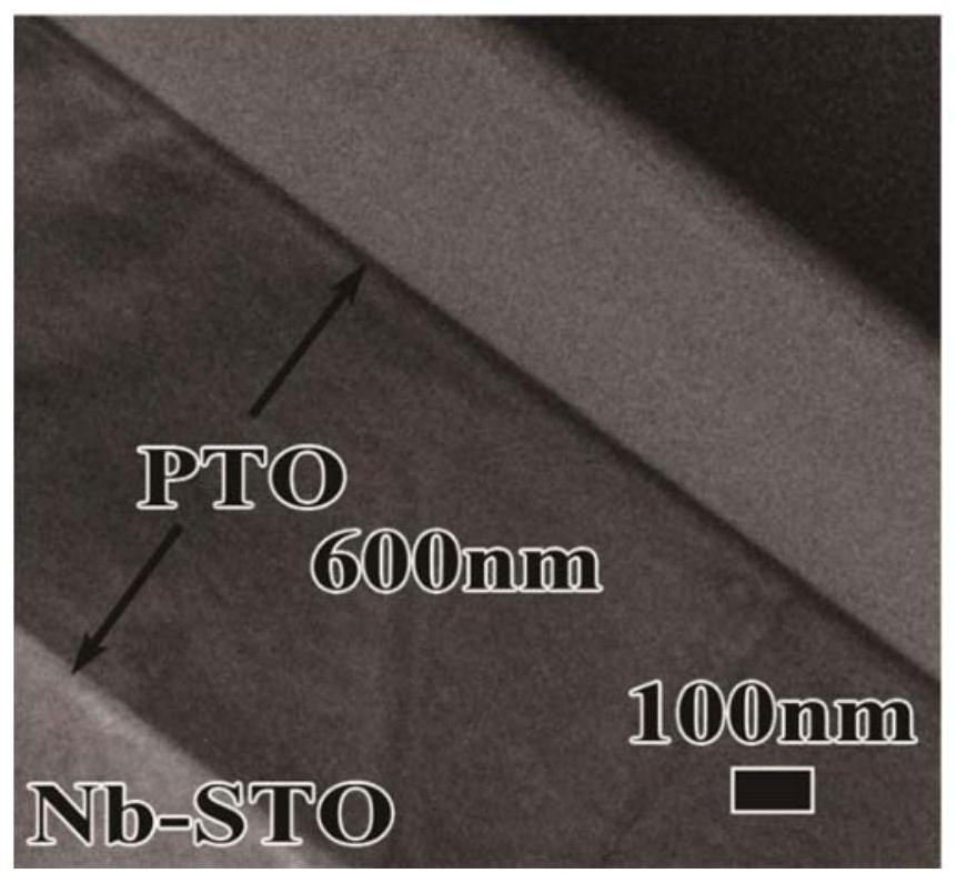 A kind of preparation method of lead titanate film based on strontium titanate doped niobate