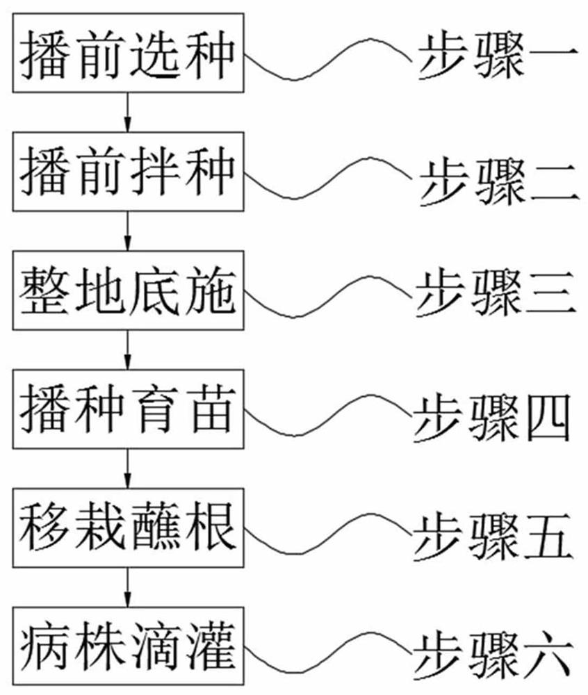 Control method for root-knot nematodes by adopting microbial agent